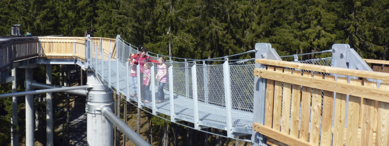 As an alternative route, you can take the suspension bridge.