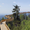 The treetop path in St. Englmar is a great place to visit.