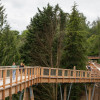 The Treetop Walk Ireland is almost 1.5 kilometers long and up to 23 meters high.