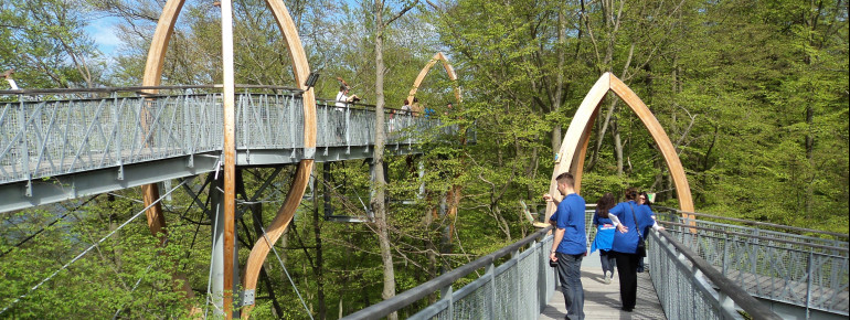 The Treetop walk is located on the edge of the National Park and directly on Lake Edersee.