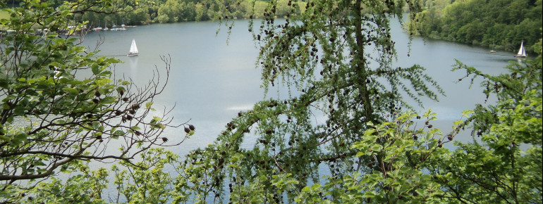 With a view of the Edersee, you hike along the treetop path.