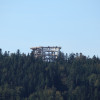 The top of the observation tower is above the treetops.
