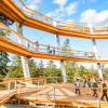The observation tower at the tree-top walk is 40 metres high.