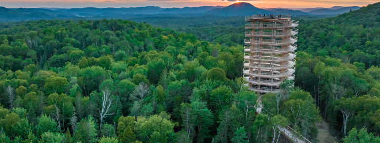 The tree top walk Laurentides, Canada shows Québec from its most beautiful side.