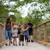 The treetop walk is suitable for the whole family.