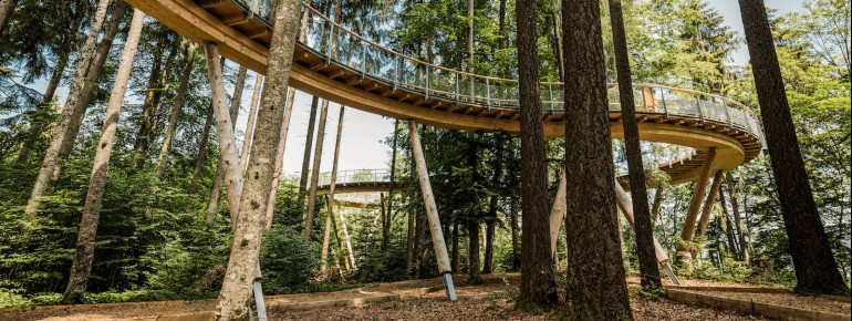 The path is between 4 and 15 meters high.