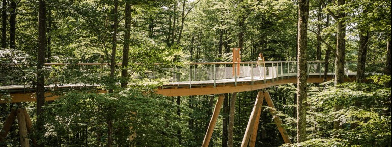 The tree-top walk Neckertal is about 500 meters long.