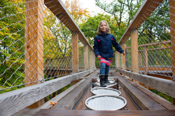 Balancing at lofty heights: The tree-top walk includes a number of different stations.