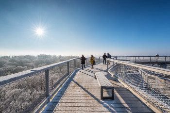 The tree-top walk is also open in winter and well worth a visit.