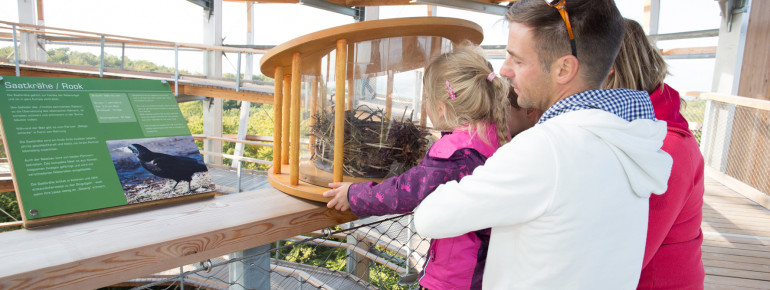 There is also a bird's nest in the middle of the tower.