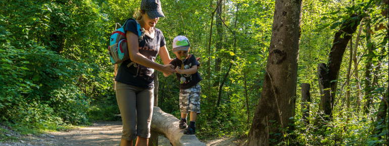 The mountain forest trail leads to an adventure playground.