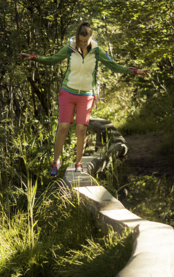 Several adventure trails start at the forest adventure centre.