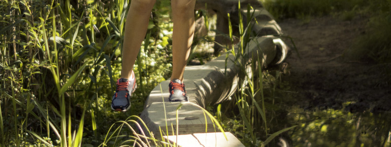 Several adventure trails start at the forest adventure centre.