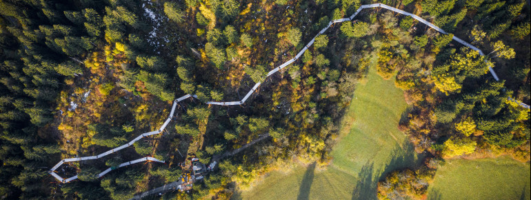 The tree top walk in Laax is about 1.5 kilometers long.