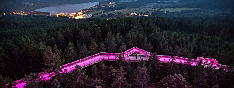 From the Treetop Walkway you can see all the way over the Bohemian Forest and to Lipno reservoir.