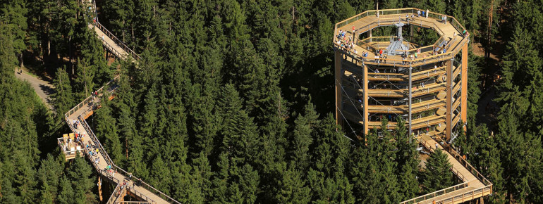 Treetop Walkway Lipno was the first canopy path in Czech Republic.