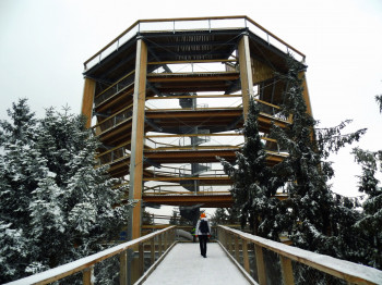 Treetop Walkway Lipno is also open during the winter months.