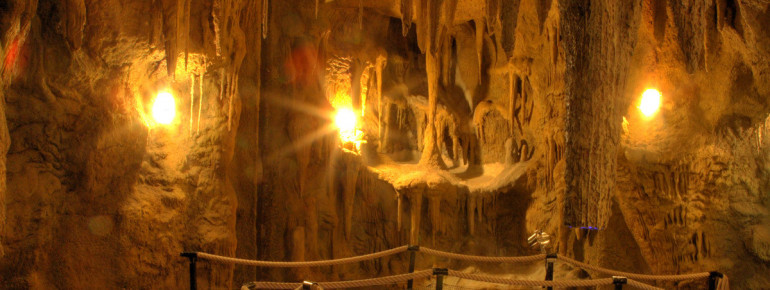 Cave world is one of three theme areas at the tropical aquarium.