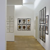 Exhibition at New Gallery