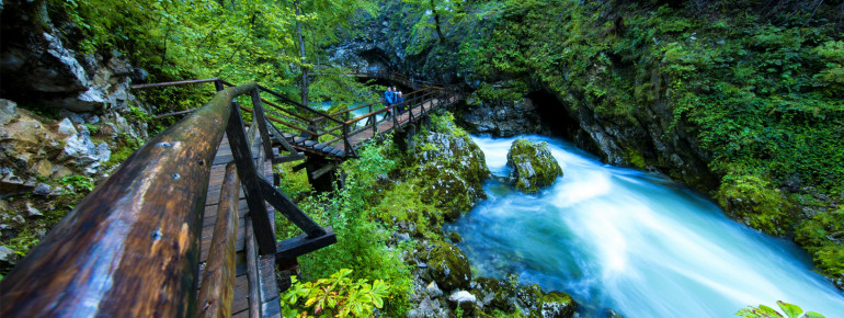 Trout dart about in the crystal-clear waters of the thundering Alpine river Radovna.