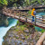 Due to the climatic conditions in the gorge, the flora differs from the plants found in the surrounding region.