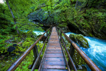 A well-marked nature trail leads through the Vintgar Gorge.