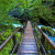 A well-marked nature trail leads through the Vintgar Gorge.