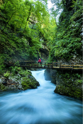 The Vintgar Gorge offers a unique and impressive natural landscape.