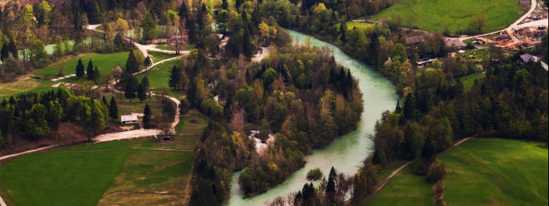 The Radovna River flows into the Sava River.