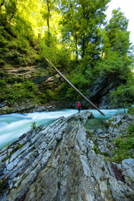 The footbridges and paths run from the entrance to the Vintgar Gorge to just beyond the Sum waterfall.