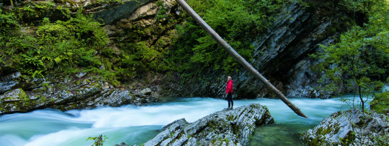 The footbridges and paths run from the entrance to the Vintgar Gorge to just beyond the Sum waterfall.