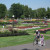 People enjoying Washington Park during the summer. In the background: Its colorful flowerbeds.