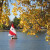 Pick one of tons of activities: Couple in a boat during fall at Washington Park.