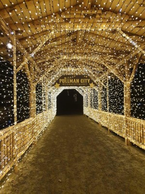 A sea of lights in the middle of the Western town during the Christmas market.