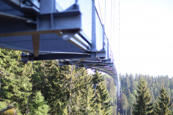 The pedestrian suspension bridge leads from Auchhalderkopf to Sommerberg.