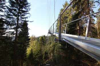 At its highest point, the bridge hangs 60 metres above the ground.