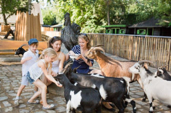 Fantastic for smaller kids: the petting zoo at Zoo Berlin.