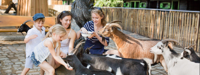 Fantastic for smaller kids: the petting zoo at Zoo Berlin.