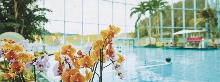 Blue Lagoon with its Caribbean flair.