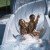 Slide at Strandbad Klosters