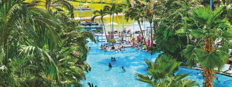 Sonnenbaden im Palmenmeer