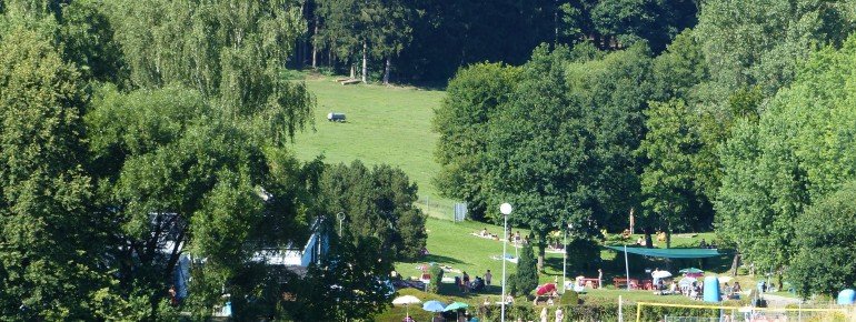Das Freibad Tiefenbach/Haselbach ist wunderbar eingebettet in die Natur