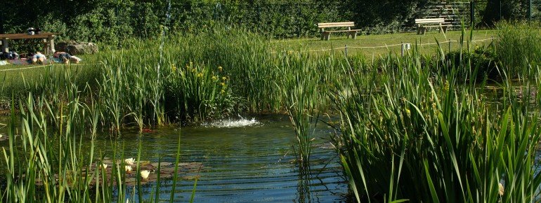 Der Regenerationsbereich des Inselbads