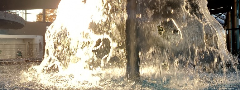 Wasserpilz im Warmbecken