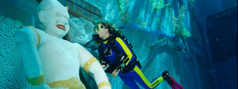 Eine riesige Unterwasserwelt wartet darauf entdeckt zu werden.