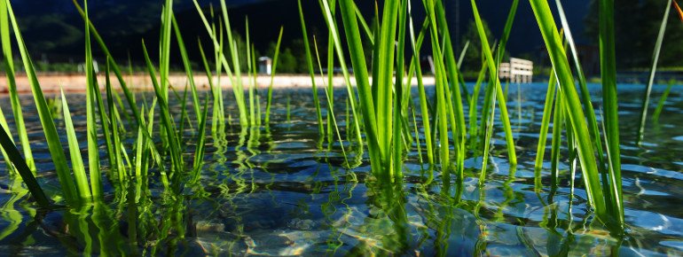 Für die gute, natürliche Qualität des Wassers sind auch die Badegäste mitverantwortlich.