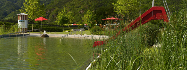 Die Reinigung des Wassers erfolgt durch heimische Sumpf- und Wasserpflanzen, die am Beckenrand positioniert sind.