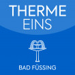 Logo Therme/Bad THERME EINS mit Saunahof in Bad Füssing