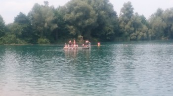 Die Insel ist vor allem beim jüngeren Publikum sehr beliebt