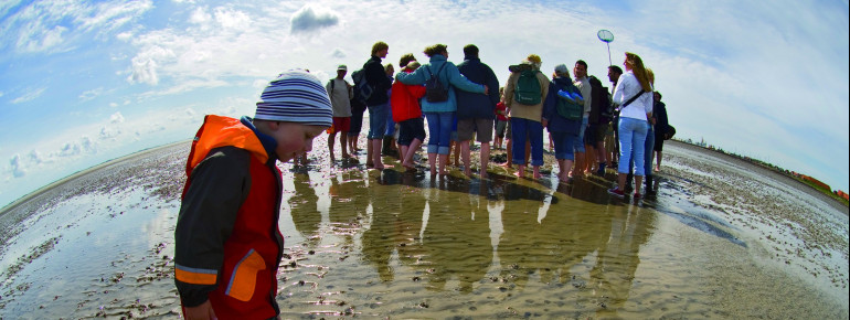 Wattwandern im Nationalpark Niedersächsisches Wattenmeer
